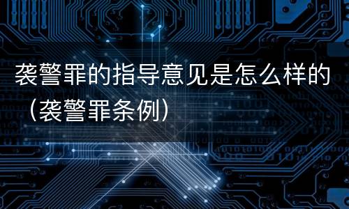袭警罪的指导意见是怎么样的（袭警罪条例）