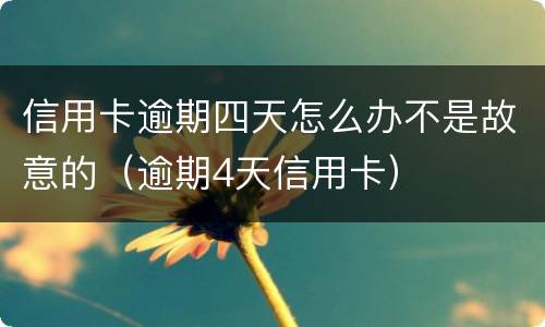 信用卡逾期四天怎么办不是故意的（逾期4天信用卡）
