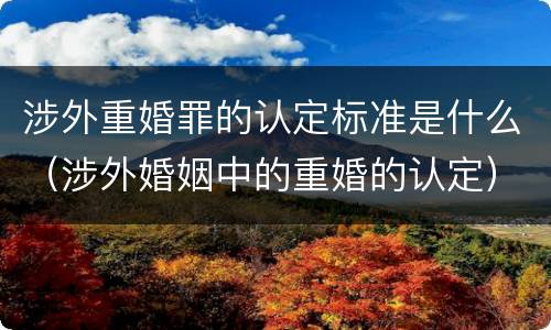 涉外重婚罪的认定标准是什么（涉外婚姻中的重婚的认定）