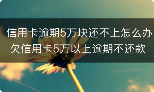 信用卡逾期5万块还不上怎么办 欠信用卡5万以上逾期不还款