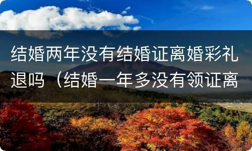 结婚两年没有结婚证离婚彩礼退吗（结婚一年多没有领证离婚退彩礼吗）