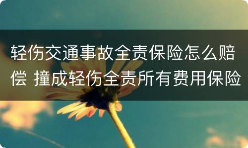 轻伤交通事故全责保险怎么赔偿 撞成轻伤全责所有费用保险出