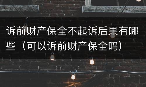 诉前财产保全不起诉后果有哪些（可以诉前财产保全吗）
