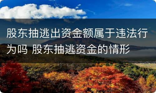 股东抽逃出资金额属于违法行为吗 股东抽逃资金的情形