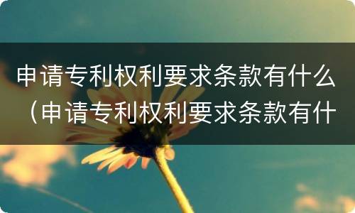 申请专利权利要求条款有什么（申请专利权利要求条款有什么意义）