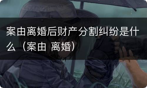 案由离婚后财产分割纠纷是什么（案由 离婚）