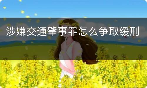 涉嫌交通肇事罪怎么争取缓刑