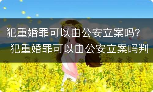 犯重婚罪可以由公安立案吗？ 犯重婚罪可以由公安立案吗判几年