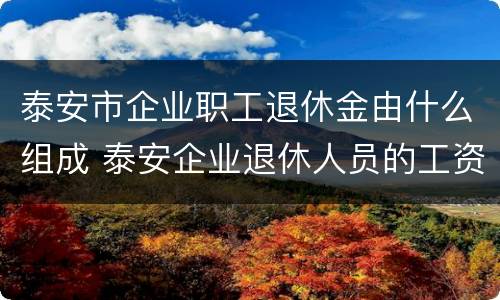 泰安市企业职工退休金由什么组成 泰安企业退休人员的工资