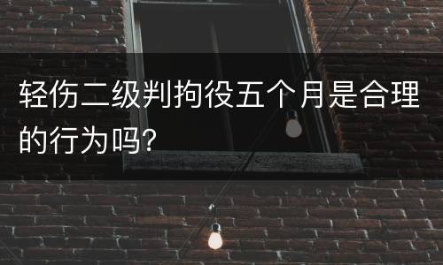 轻伤二级判拘役五个月是合理的行为吗？