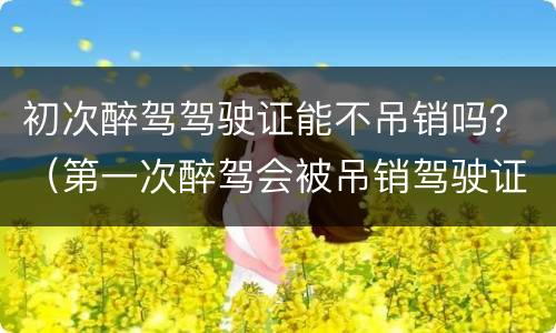 初次醉驾驾驶证能不吊销吗？（第一次醉驾会被吊销驾驶证吗）