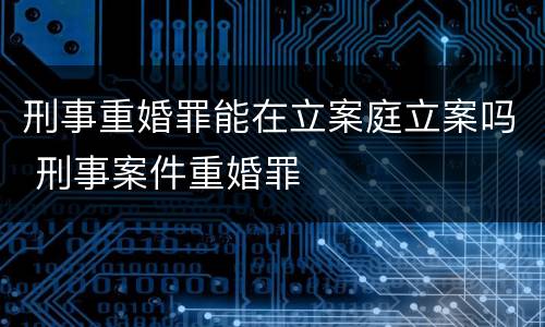 刑事重婚罪能在立案庭立案吗 刑事案件重婚罪