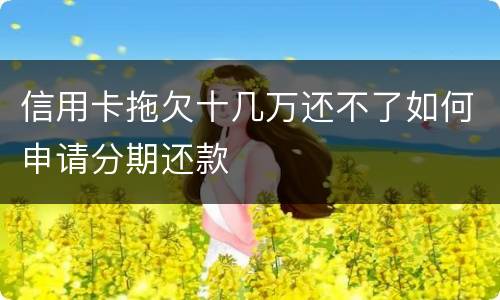 信用卡拖欠十几万还不了如何申请分期还款