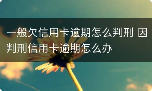 一般欠信用卡逾期怎么判刑 因判刑信用卡逾期怎么办