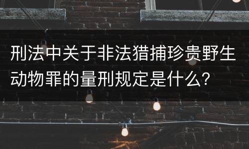 刑法中关于非法猎捕珍贵野生动物罪的量刑规定是什么？