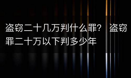 盗窃二十几万判什么罪？ 盗窃罪二十万以下判多少年