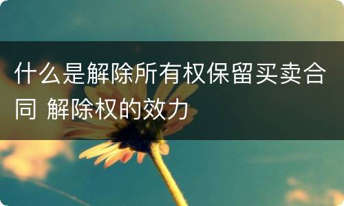 什么是解除所有权保留买卖合同 解除权的效力
