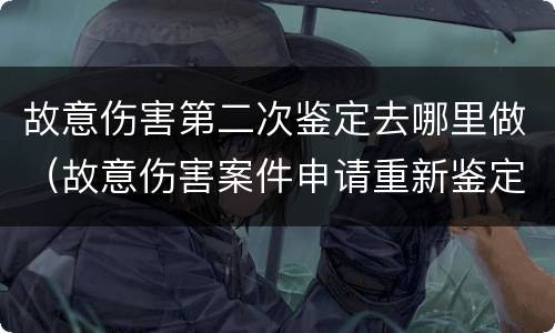 故意伤害第二次鉴定去哪里做（故意伤害案件申请重新鉴定）