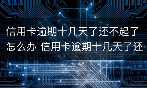 信用卡逾期十几天了还不起了怎么办 信用卡逾期十几天了还不起了怎么办呀