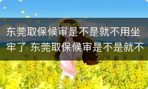 东莞取保候审是不是就不用坐牢了 东莞取保候审是不是就不用坐牢了呀