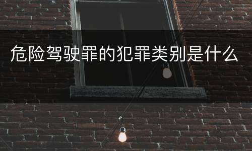 危险驾驶罪的犯罪类别是什么