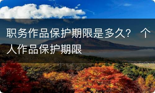 职务作品保护期限是多久？ 个人作品保护期限