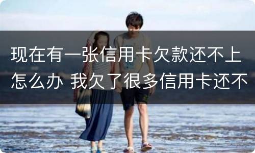 现在有一张信用卡欠款还不上怎么办 我欠了很多信用卡还不上怎么办