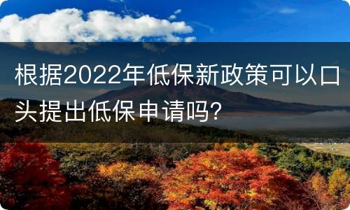 根据2022年低保新政策可以口头提出低保申请吗？