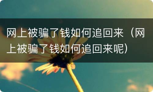 网上被骗了钱如何追回来（网上被骗了钱如何追回来呢）