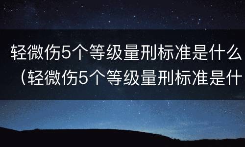 轻微伤5个等级量刑标准是什么（轻微伤5个等级量刑标准是什么样的）