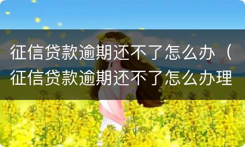 征信贷款逾期还不了怎么办（征信贷款逾期还不了怎么办理）