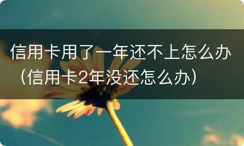 信用卡用了一年还不上怎么办（信用卡2年没还怎么办）