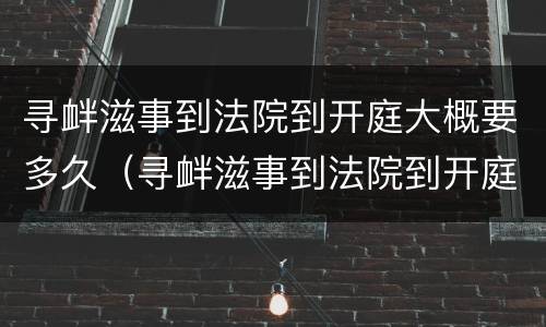 寻衅滋事到法院到开庭大概要多久（寻衅滋事到法院到开庭大概要多久才能判）