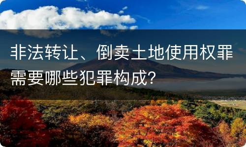 非法转让、倒卖土地使用权罪需要哪些犯罪构成？