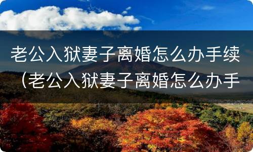 老公入狱妻子离婚怎么办手续（老公入狱妻子离婚怎么办手续呢）