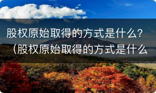 股权原始取得的方式是什么？（股权原始取得的方式是什么意思）