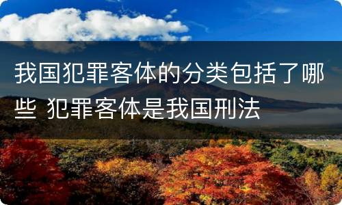 我国犯罪客体的分类包括了哪些 犯罪客体是我国刑法