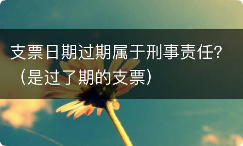 支票日期过期属于刑事责任？（是过了期的支票）