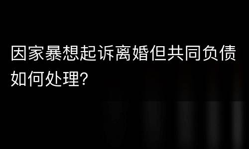 因家暴想起诉离婚但共同负债如何处理？