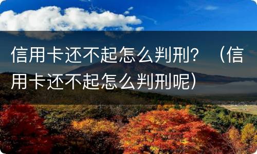 信用卡还不起怎么判刑？（信用卡还不起怎么判刑呢）