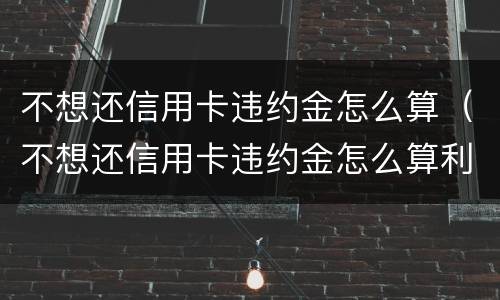 不想还信用卡违约金怎么算（不想还信用卡违约金怎么算利息）