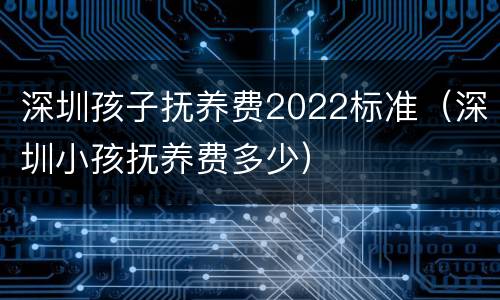 深圳孩子抚养费2022标准（深圳小孩抚养费多少）