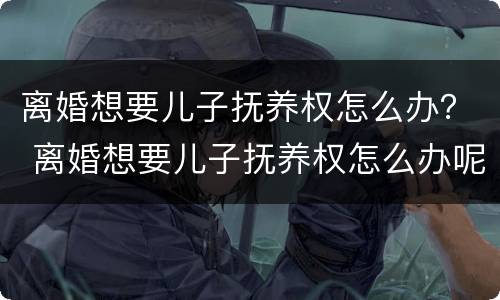 离婚想要儿子抚养权怎么办？ 离婚想要儿子抚养权怎么办呢
