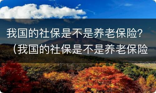 我国的社保是不是养老保险？（我国的社保是不是养老保险的一种）