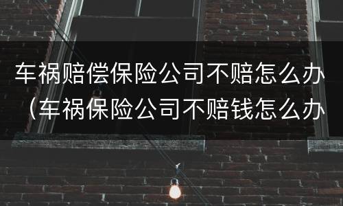 车祸赔偿保险公司不赔怎么办（车祸保险公司不赔钱怎么办）