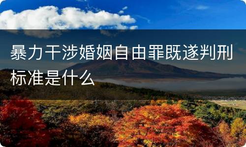 暴力干涉婚姻自由罪既遂判刑标准是什么