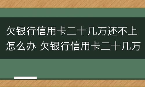 欠银行信用卡二十几万还不上怎么办 欠银行信用卡二十几万还不上怎么办呢