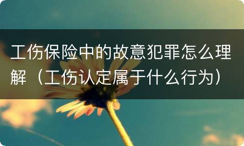 工伤保险中的故意犯罪怎么理解（工伤认定属于什么行为）
