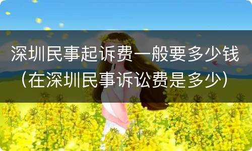 深圳民事起诉费一般要多少钱（在深圳民事诉讼费是多少）