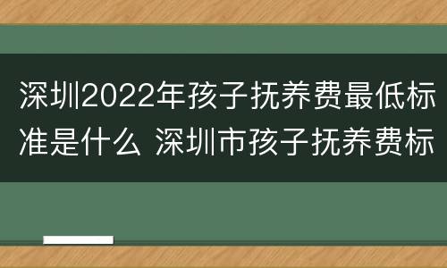 深圳2022年孩子抚养费最低标准是什么 深圳市孩子抚养费标准是多少